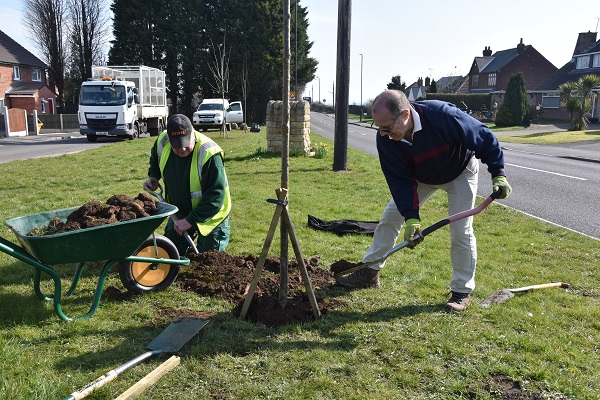 Nick Clarke planting trees on Langwith Road in Bolsover